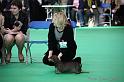 Crufts2011_2 780